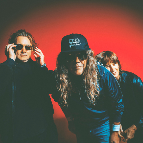 Spiderbait announce local openers for all shows