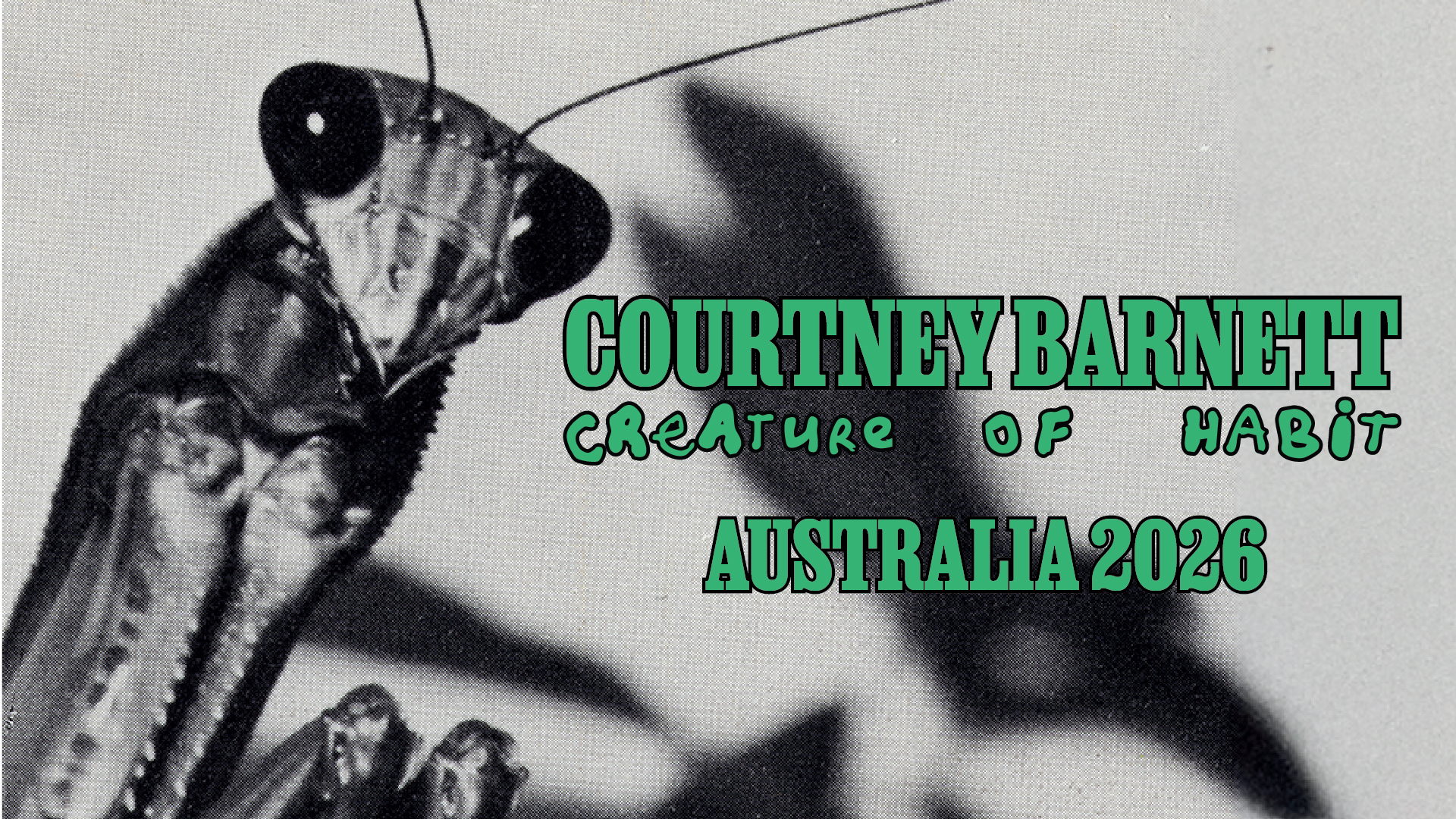 Penny Drop Australia & New Zealand
